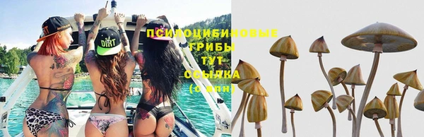 бутират Арсеньев