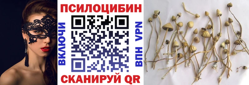 Галлюциногенные грибы Magic Shrooms  Певек 
